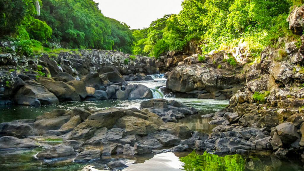 Tourism in Mauritius: Black River Gorges National Park