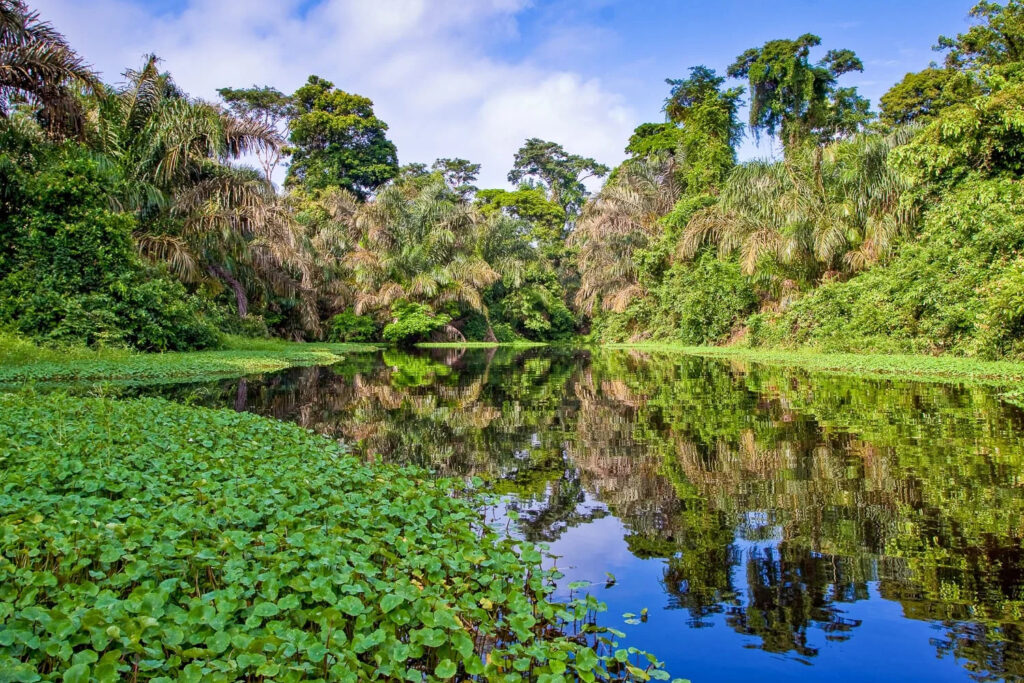 PANTANAL brazil