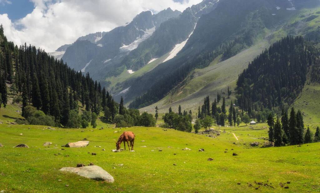 sonmarg