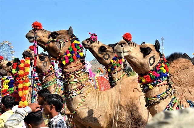 Pushkar