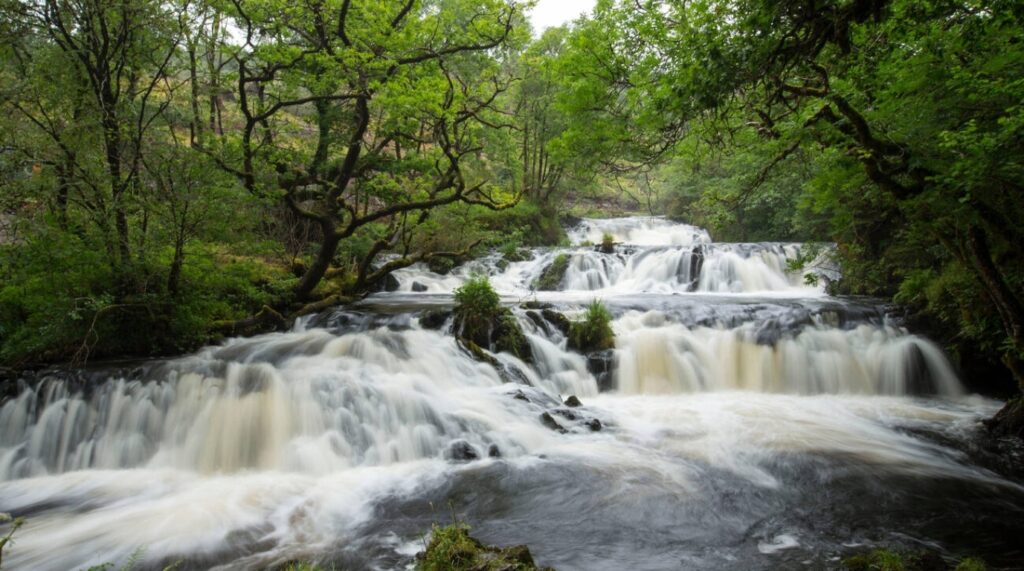 Argyle falls