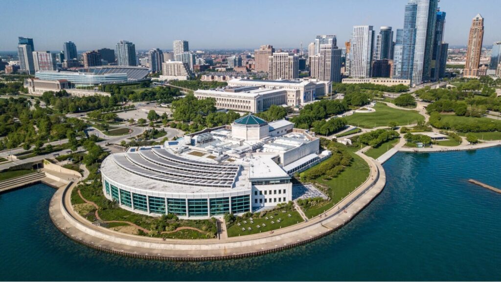 Shedd aquarium 