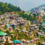 Shimla cover image