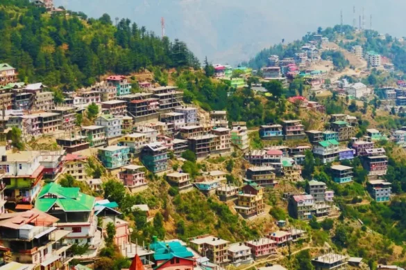 Shimla cover image