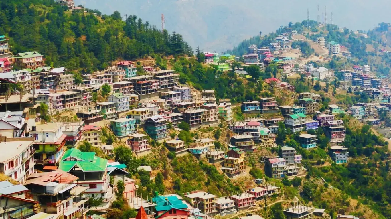 Shimla cover image