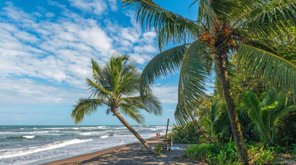 Tortuguero costa Rica