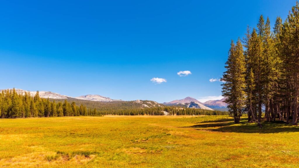 Yosemite National Park, California