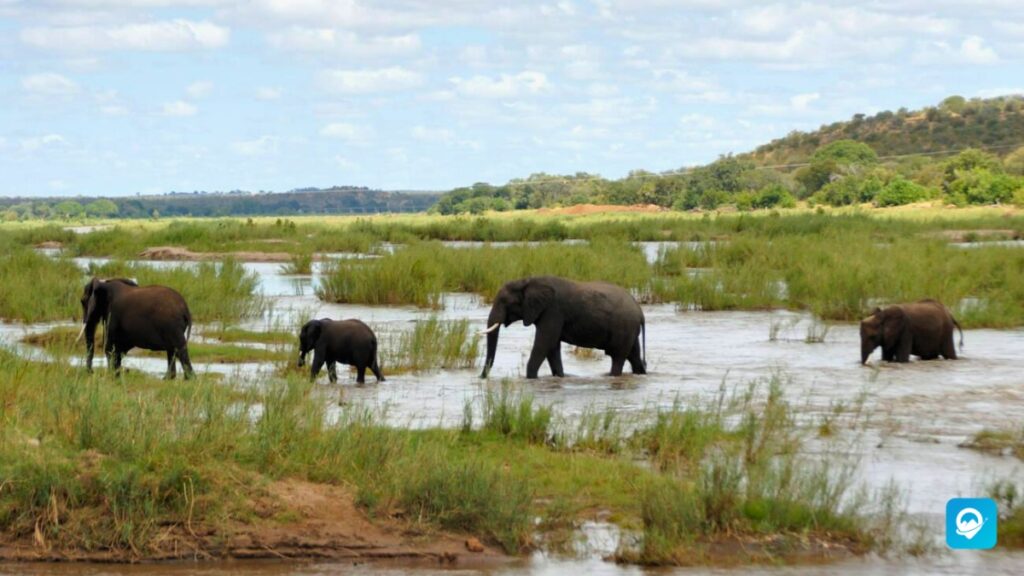 Kruger National Park