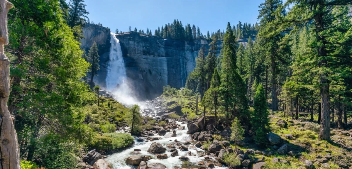 Top 10 National Parks in California