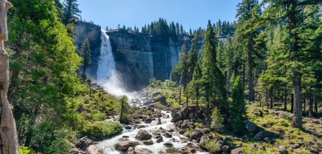 Yosemite National Park