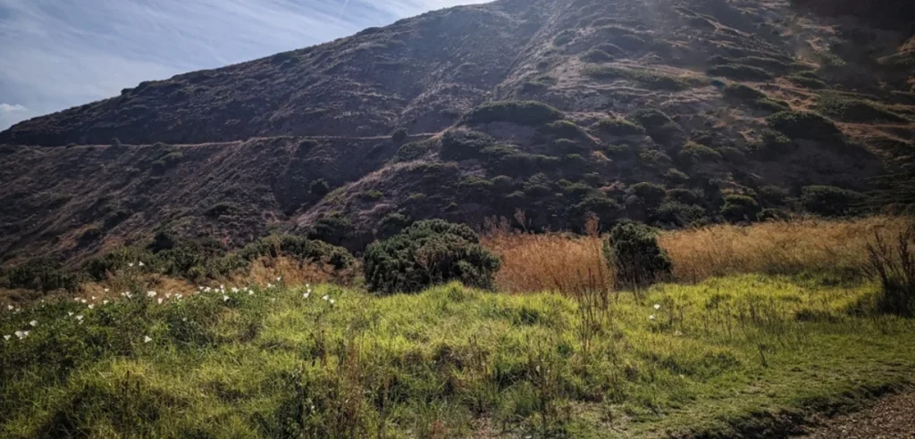  Channel Island National Park