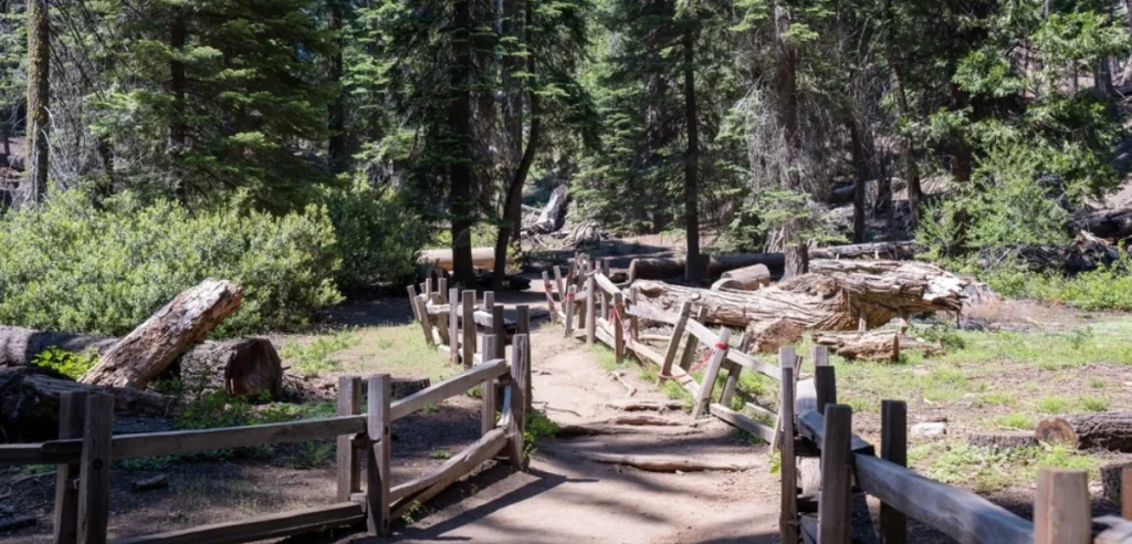 Sequoia and Kings Canyon National Parks