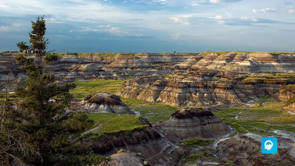 Drumheller