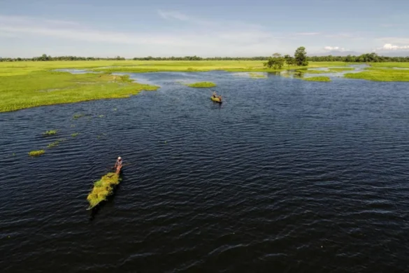 Majuli Complete Guide