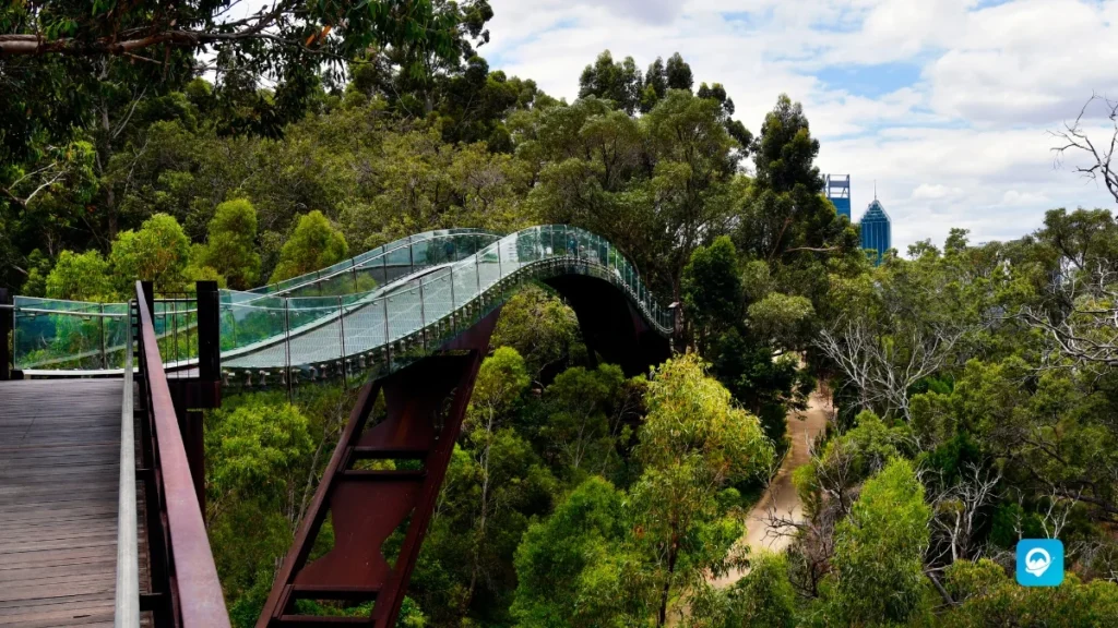 Kings Park, Perth