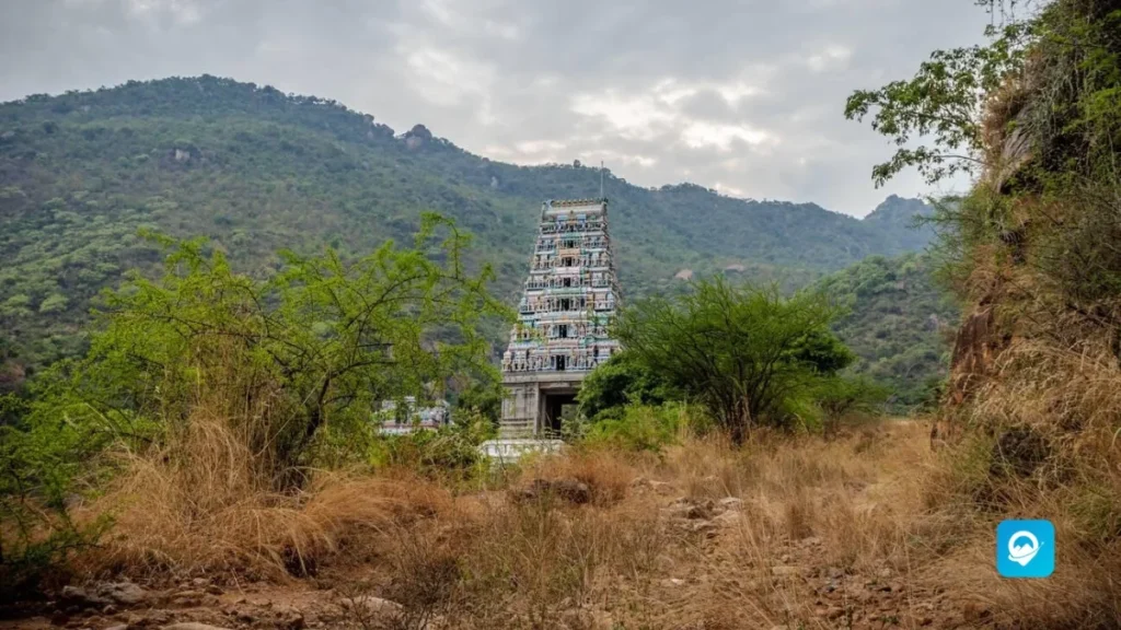 Marudhamalai Temple