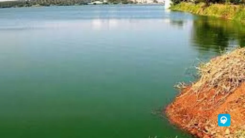 Singanallur Lake