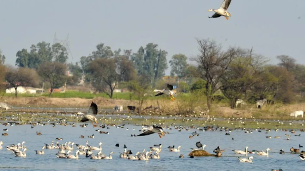 Sultanpur National Park