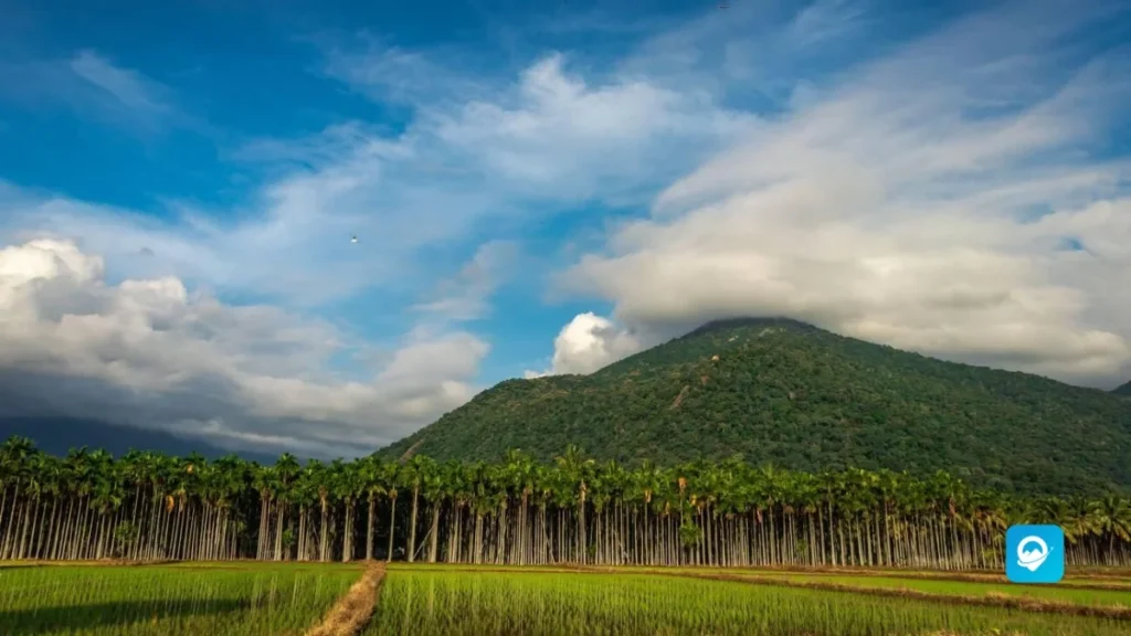 Velliangiri Hills